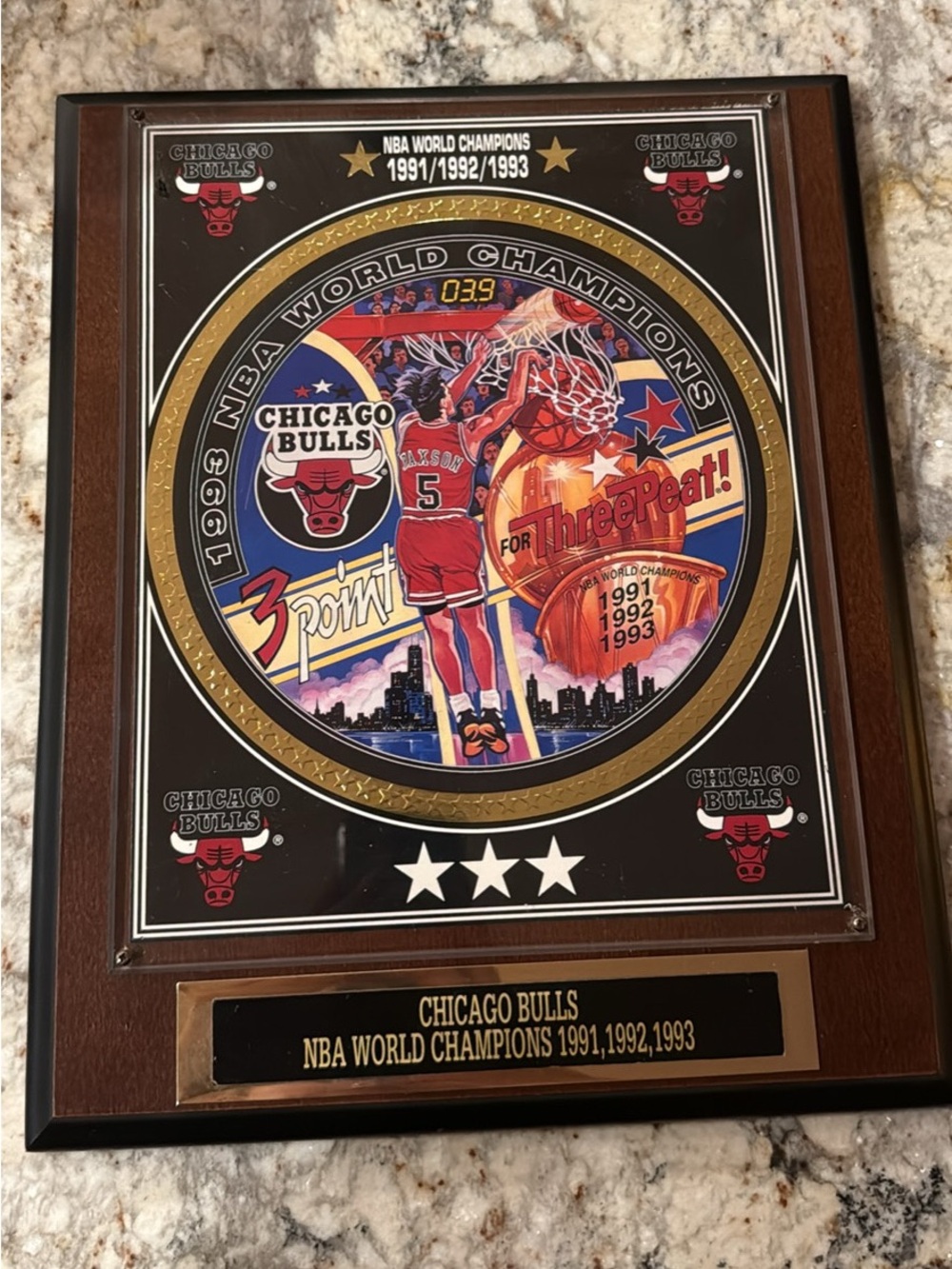 Chicago Bulls Championship Plaque